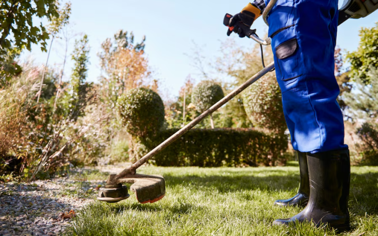 Professional garden care services including lawn maintenance, tree pruning, and plant care for a healthy, beautiful garden.